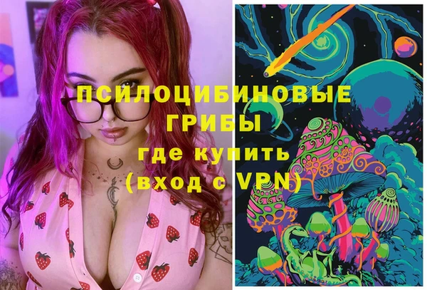 стаф Бронницы