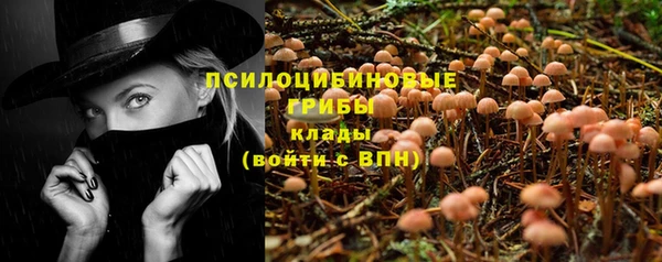 ALPHA PVP Бородино